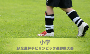 第39回 全日本少年サッカー大会 長野県大会 長野県サッカー協会