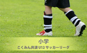 こくみん共済ｕ １２サッカーリーグ松本 塩尻 本リーグ第２節 試合結果 長野県サッカー協会